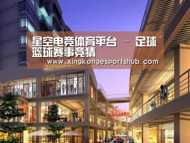 案例展示一(图1)