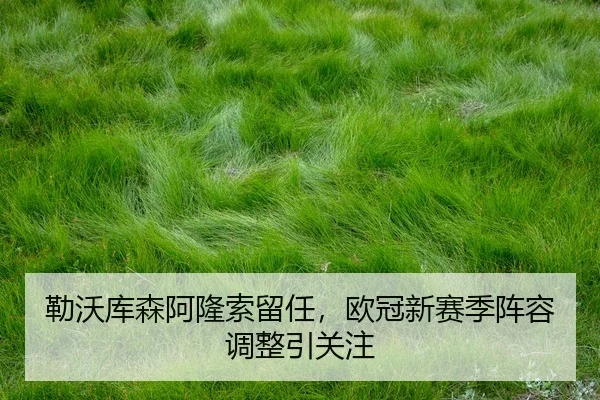 lei-wo-ku-sen-a-long-suo-liu-ren-ou-guan-xin-sai-ji-zhen-rong-tiao-zheng-yin-guan-zhu-3-229.jpg