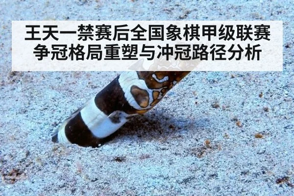 王天一禁赛后全国象棋甲级联赛争冠格局重塑与冲冠路径分析